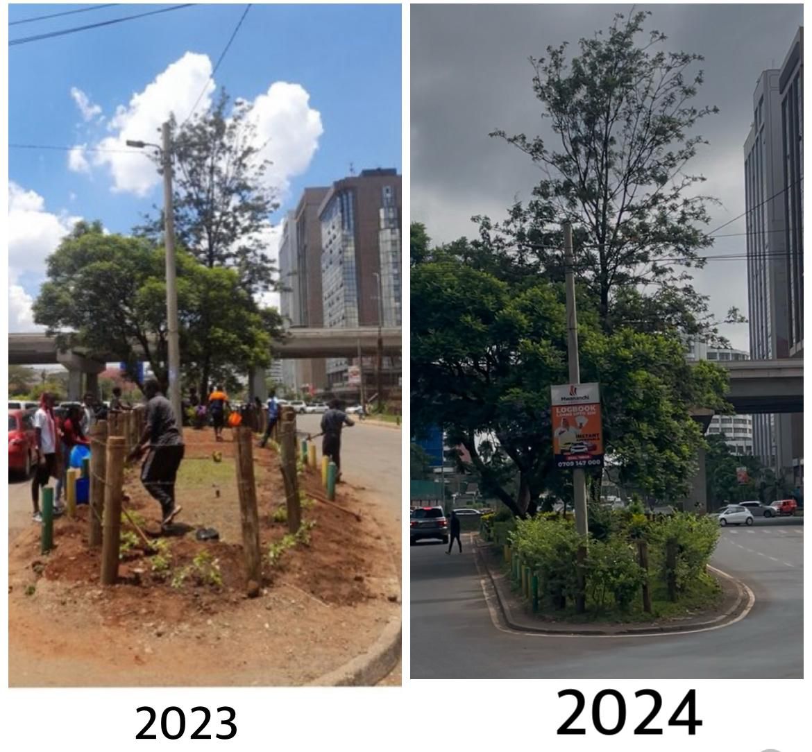 City Greening